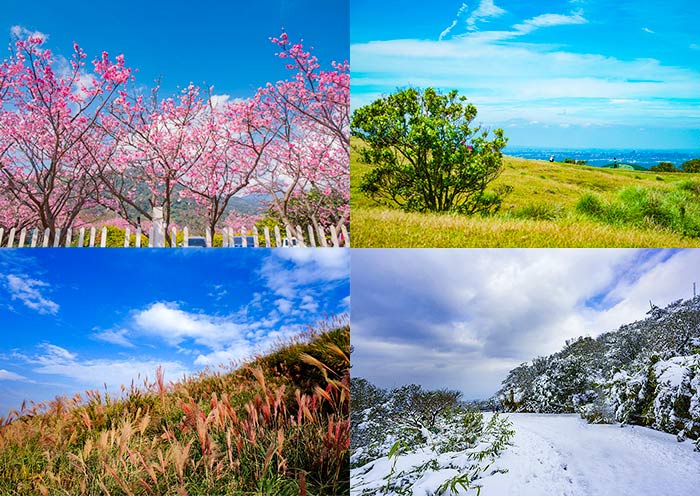 阳明山一年四季景色